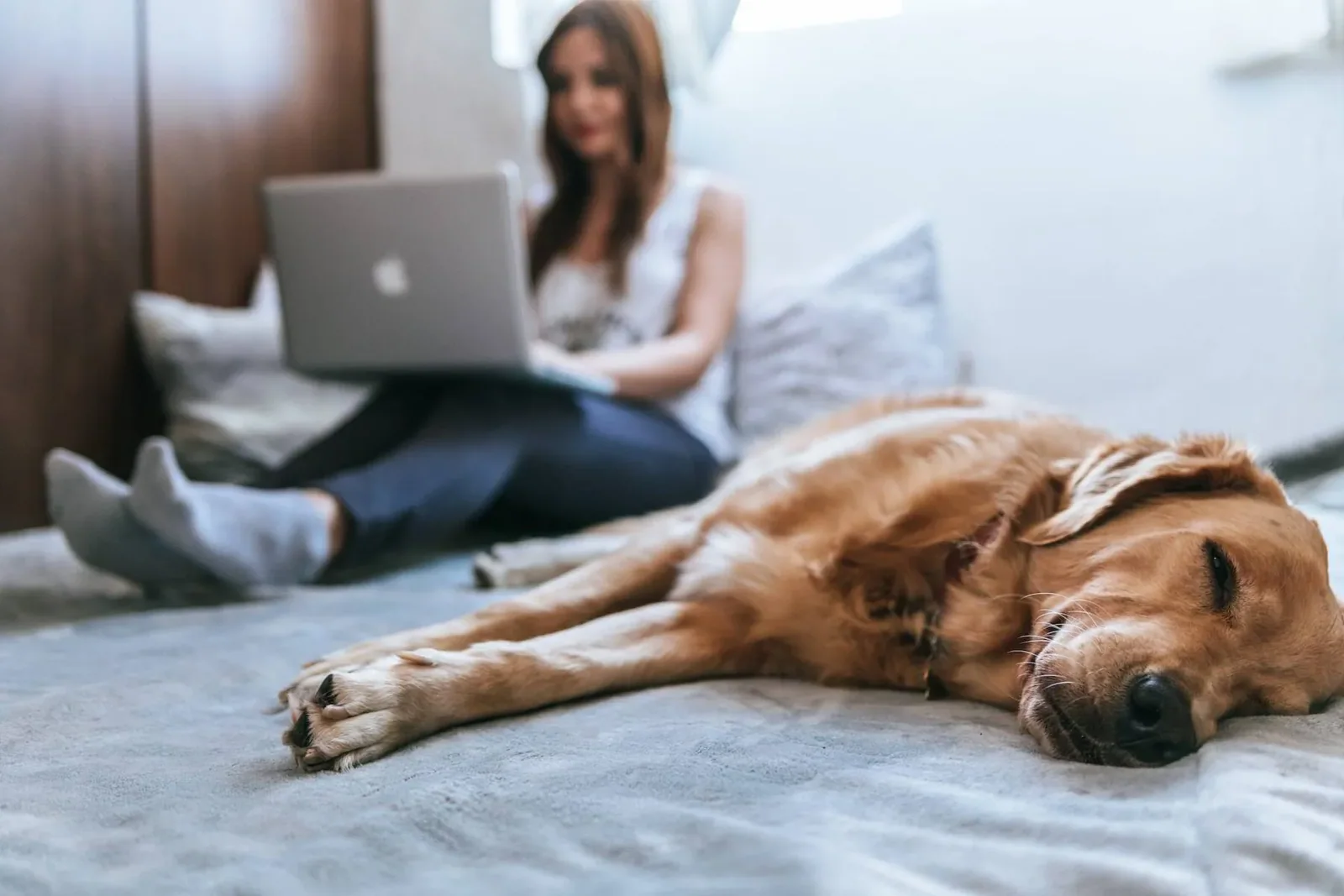 comfortable homeowner with dog