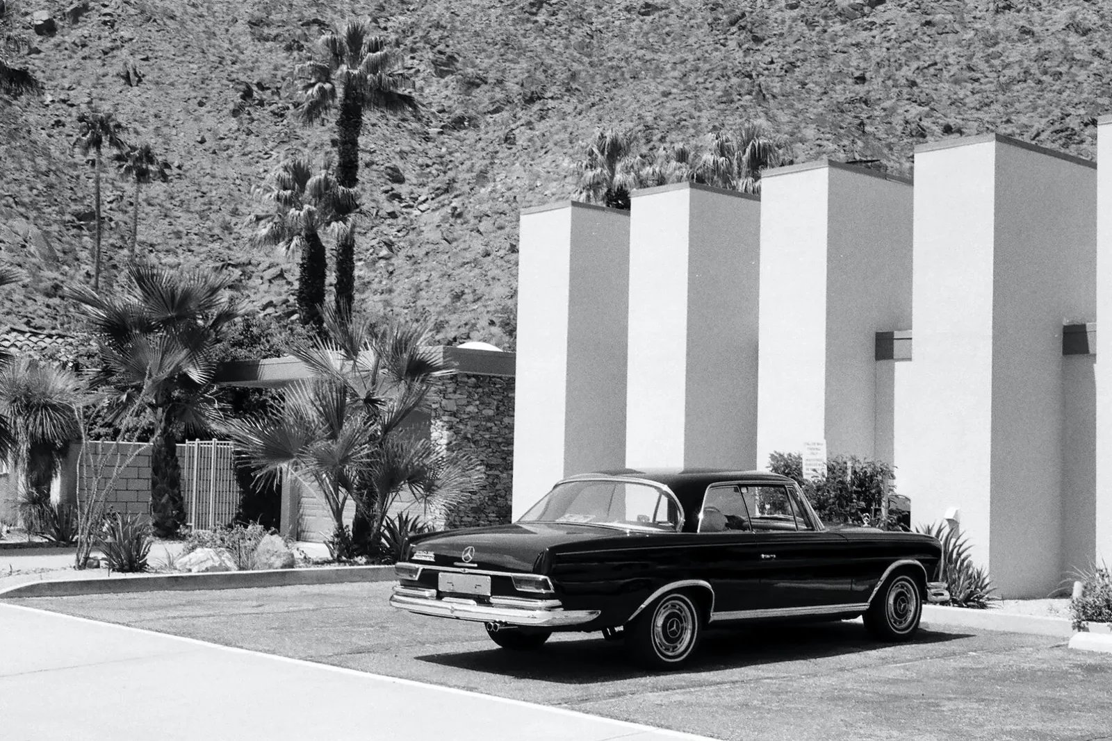 mid century modern and classic architecture